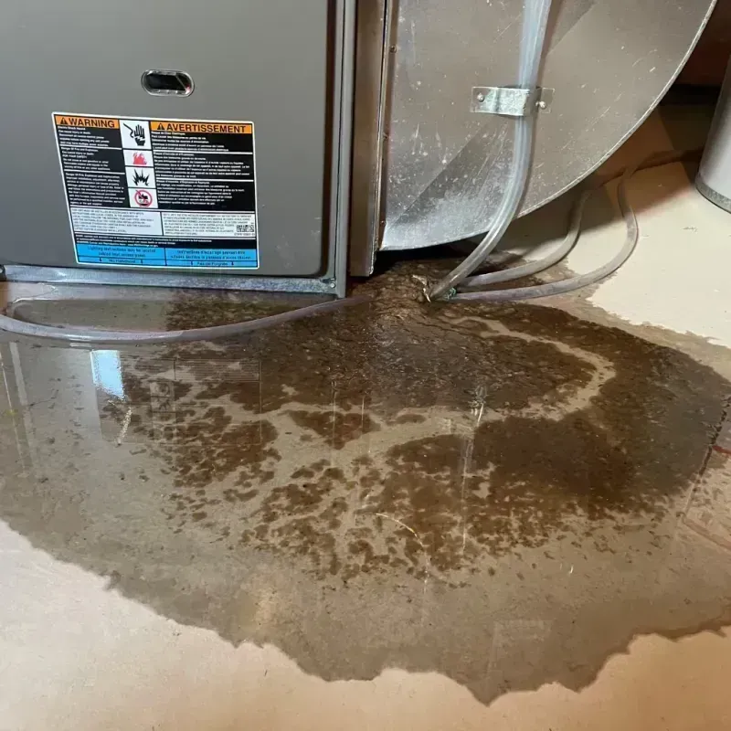 Appliance Leak Cleanup in Mississippi County, MO